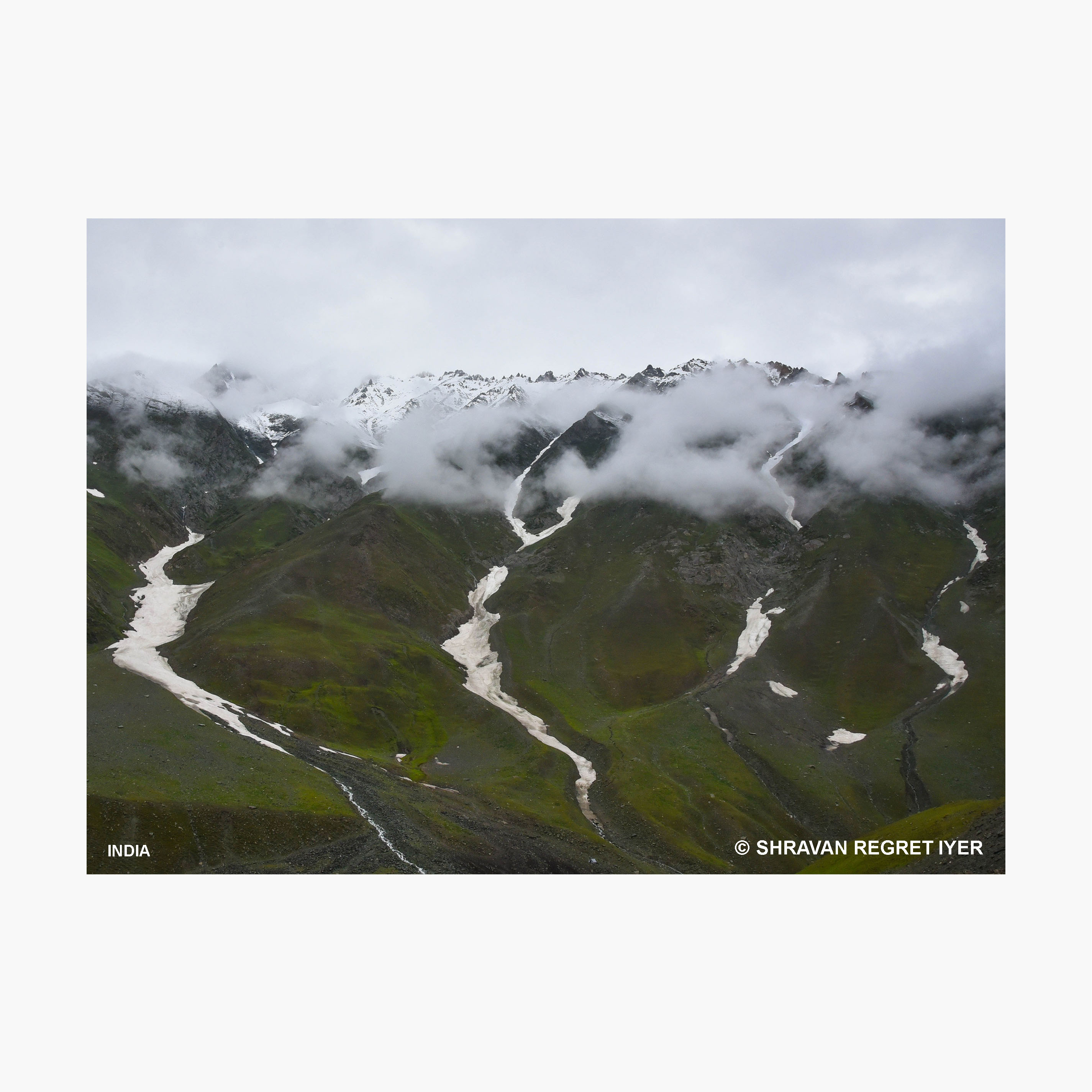 IN_8667-1